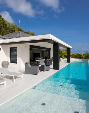 VILLA ROSE DOG