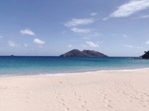 Flamands beach st barth